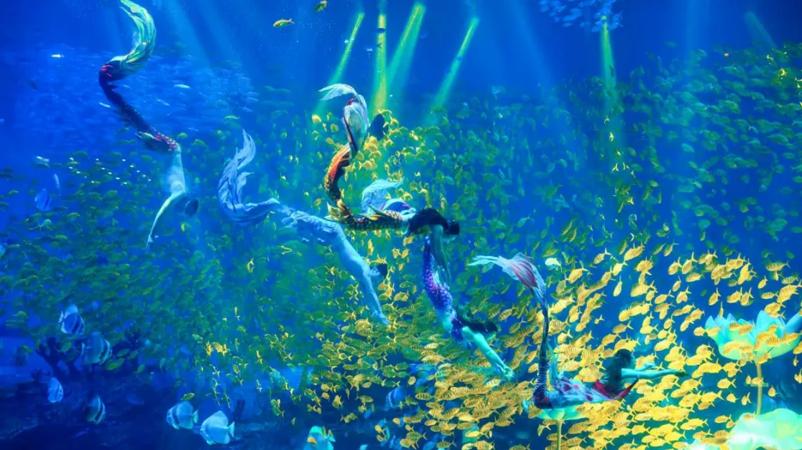 屏幕截图 2025-12-13 134341.png