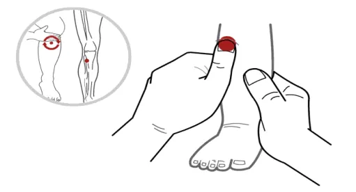 图片6.png 图片6.png