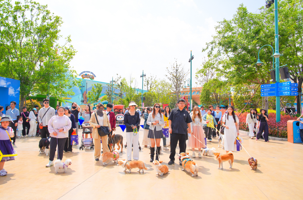 屏幕截图 2026-04-20 130702.png