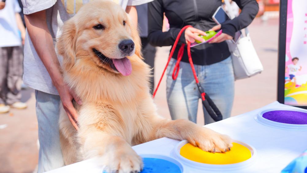 屏幕截图 2026-04-21 112305.png